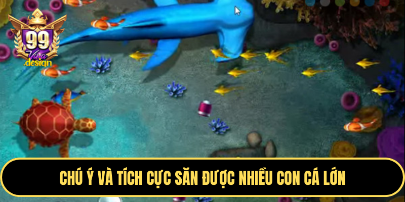 Chú ý và tích cực săn được nhiều con cá lớn