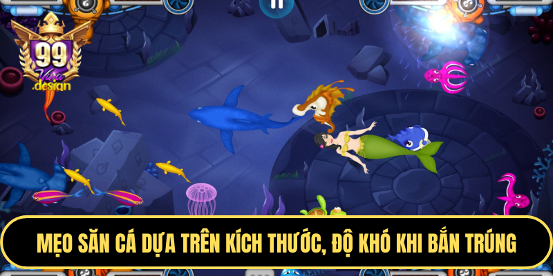Mẹo săn cá dựa trên kích thước, độ khó khi bắn trúng