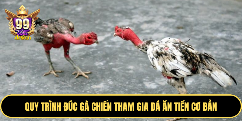 Quy trình đúc gà chiến tham gia đá ăn tiền cơ bản