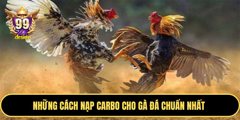 Những cách nạp carbo cho gà đá chuẩn nhất