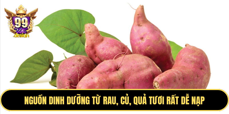 Nguồn dinh dưỡng từ rau, củ, quả tươi rất dễ nạp