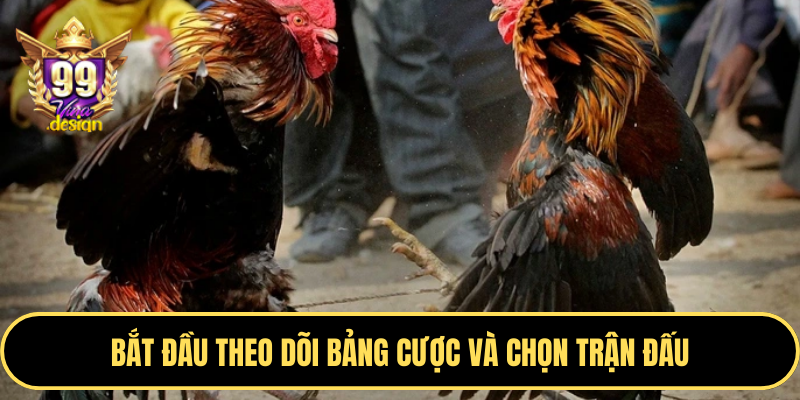 Bắt đầu theo dõi bảng cược và chọn trận đấu